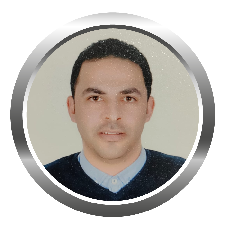 Mohamed Mohsen megahed